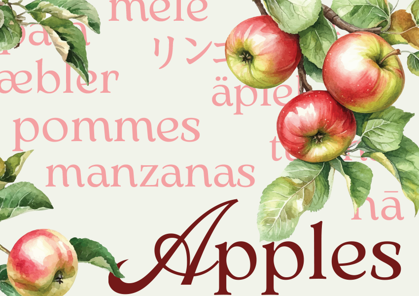 Apples SnackChat