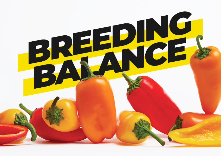 Enza Zaden: Breeding Balance
