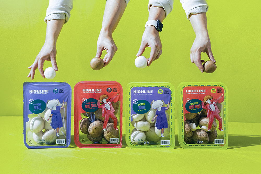 Where Mushrooms Meet Momentum