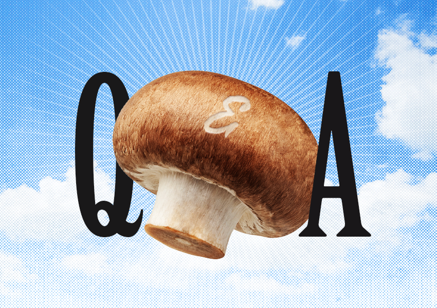 Mushrooms Versus Goliath: A Q&A With Bryan Shelton, Vice President of Sales and Marketing, Giorgio Fresh and Foods