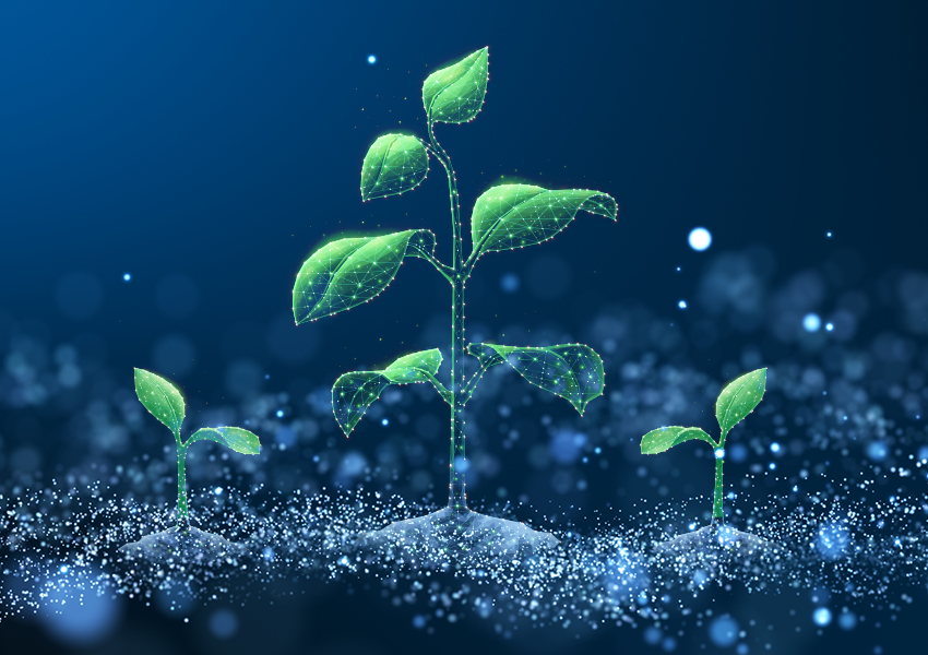 Why Fresh Produce Companies Are Outgrowing Their Technology Stack
