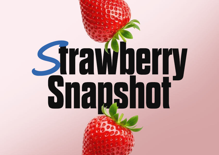 Strawberry Snapshot