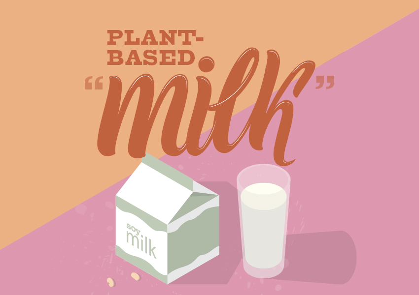 Plant Based Milk Www thesnack