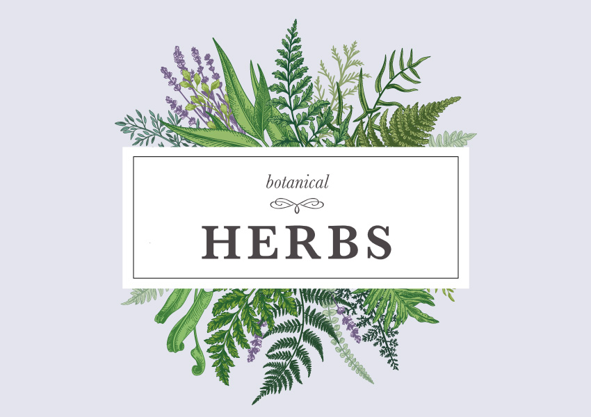 Botanical Herbs