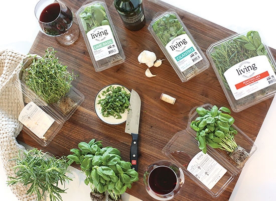 fresh face fresh focus north shore living s new brand strategy